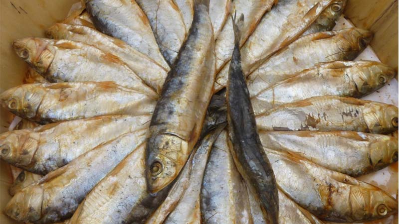 Breve historia sobre los salazones de pescado