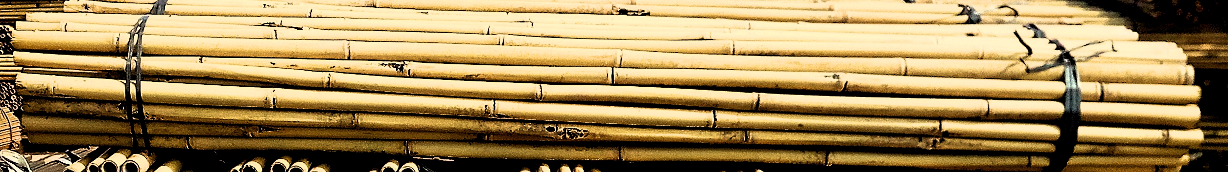 Tutores de Bambú
