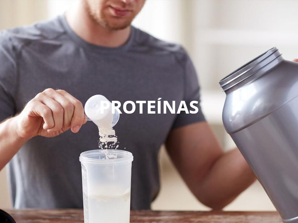 <img src="proteinas" alt="proteínas" />