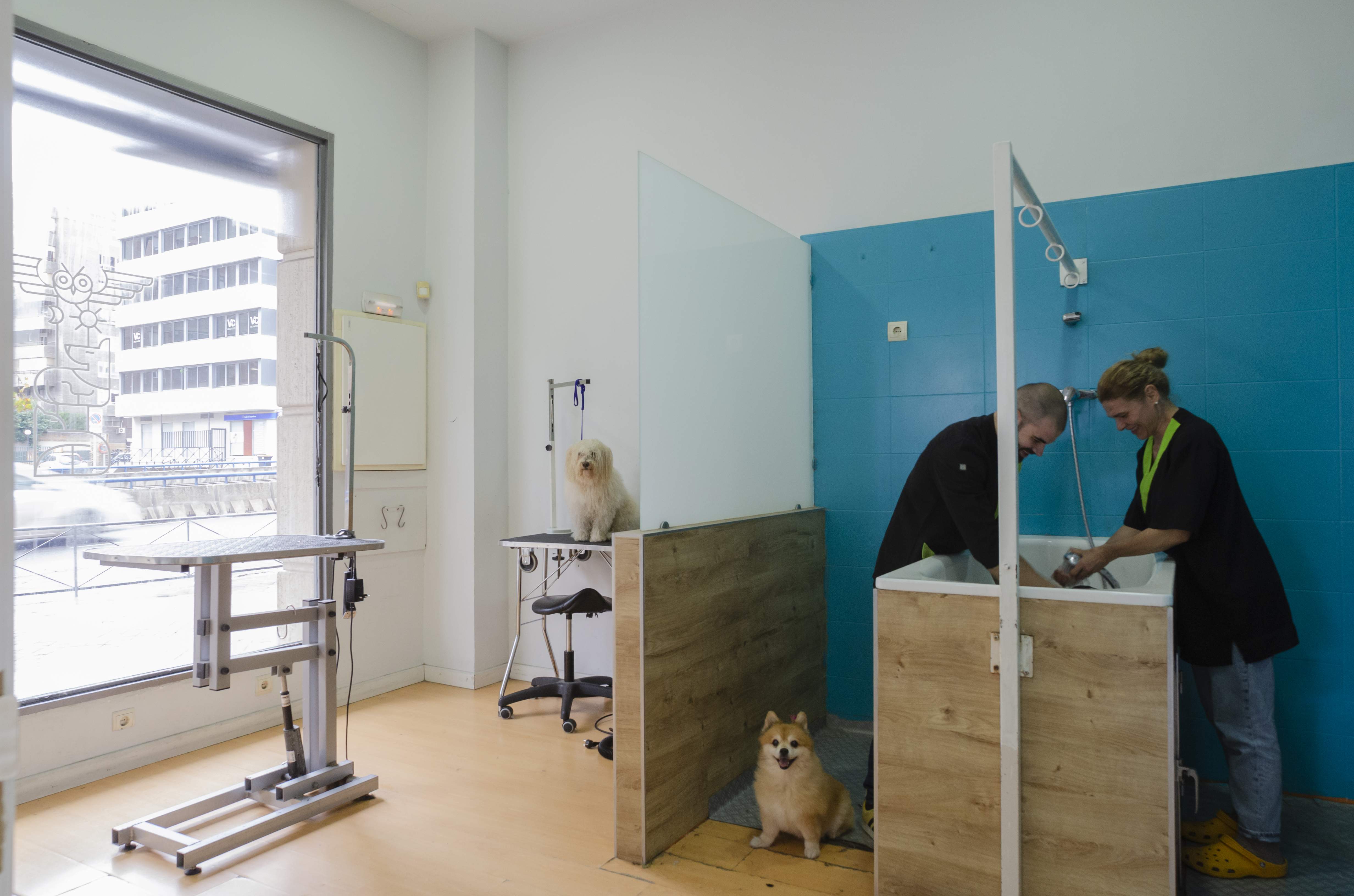 Consulta veterinaria en Madrid