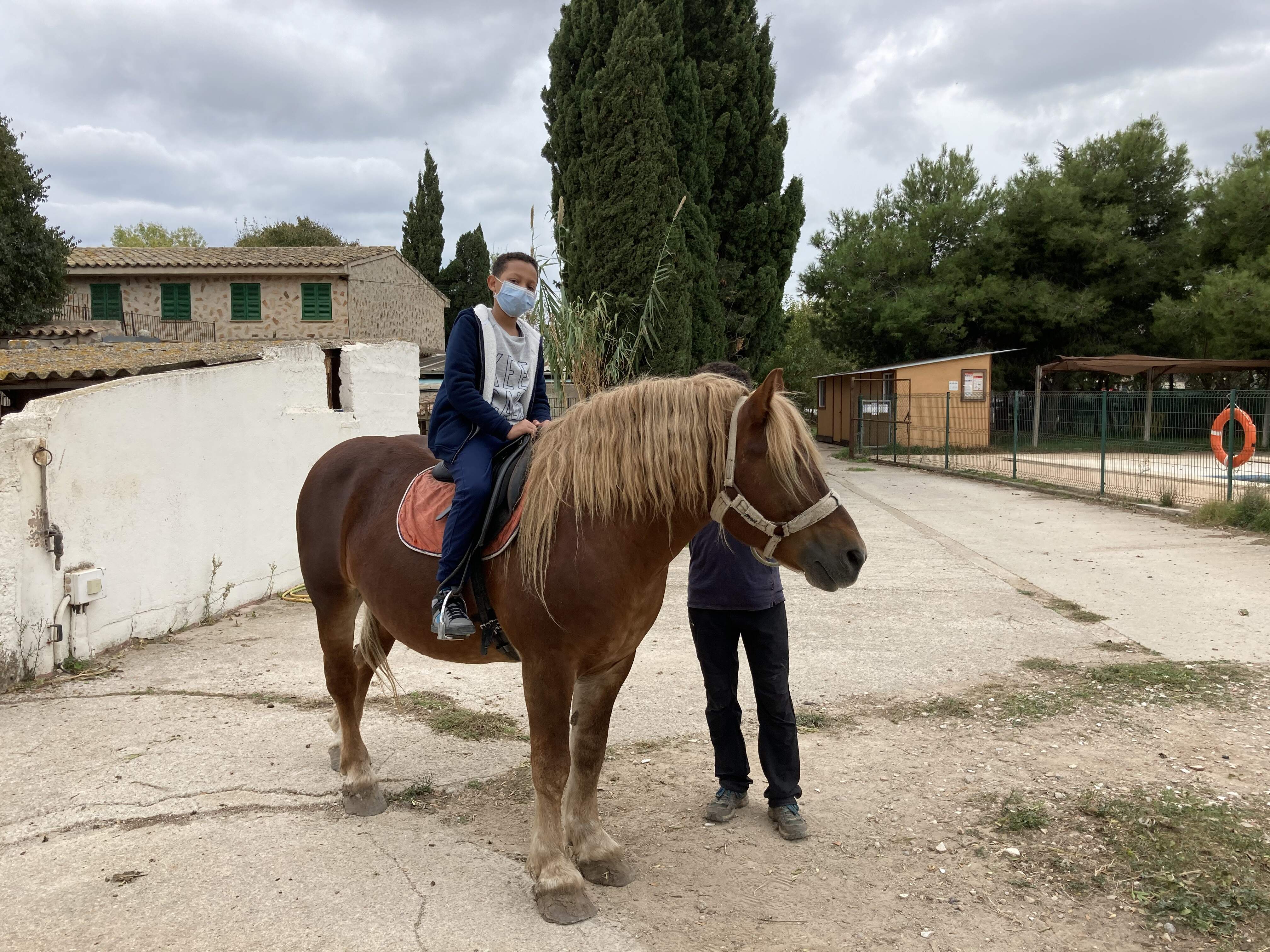 Ceip Miquel Porcel