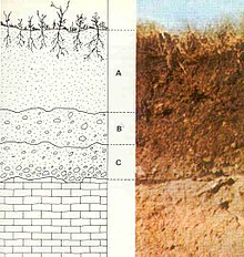 Factores que influyen en la formación del suelo