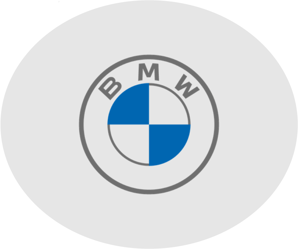 BMW lubricantes