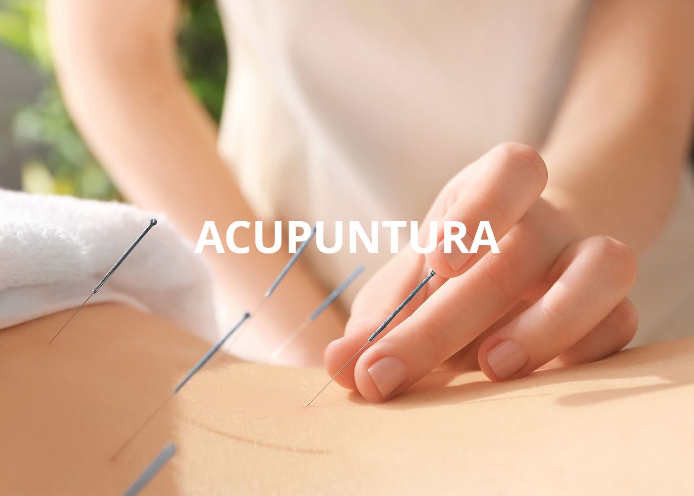 <img src="agujas" alt="acupuntura" />