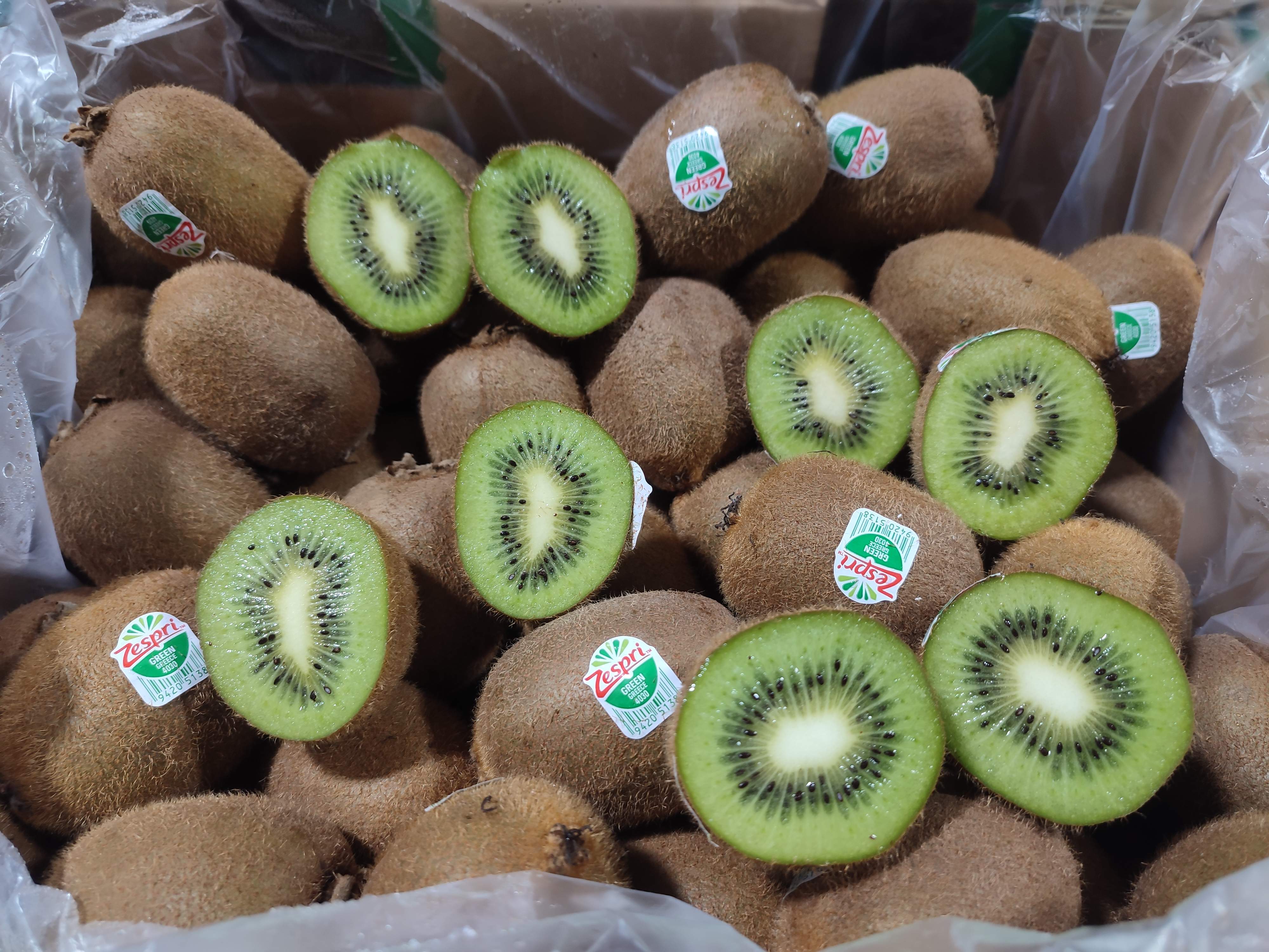 Exportadores de kiwi en Tarragona