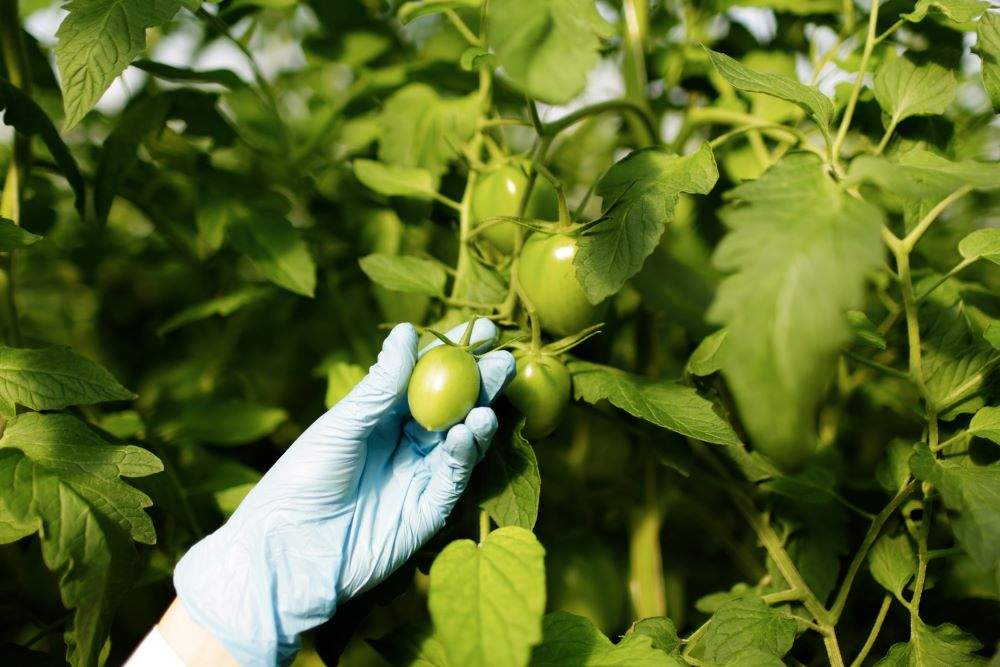¿Es necesaria formación para manipular los productos fitosanitarios?