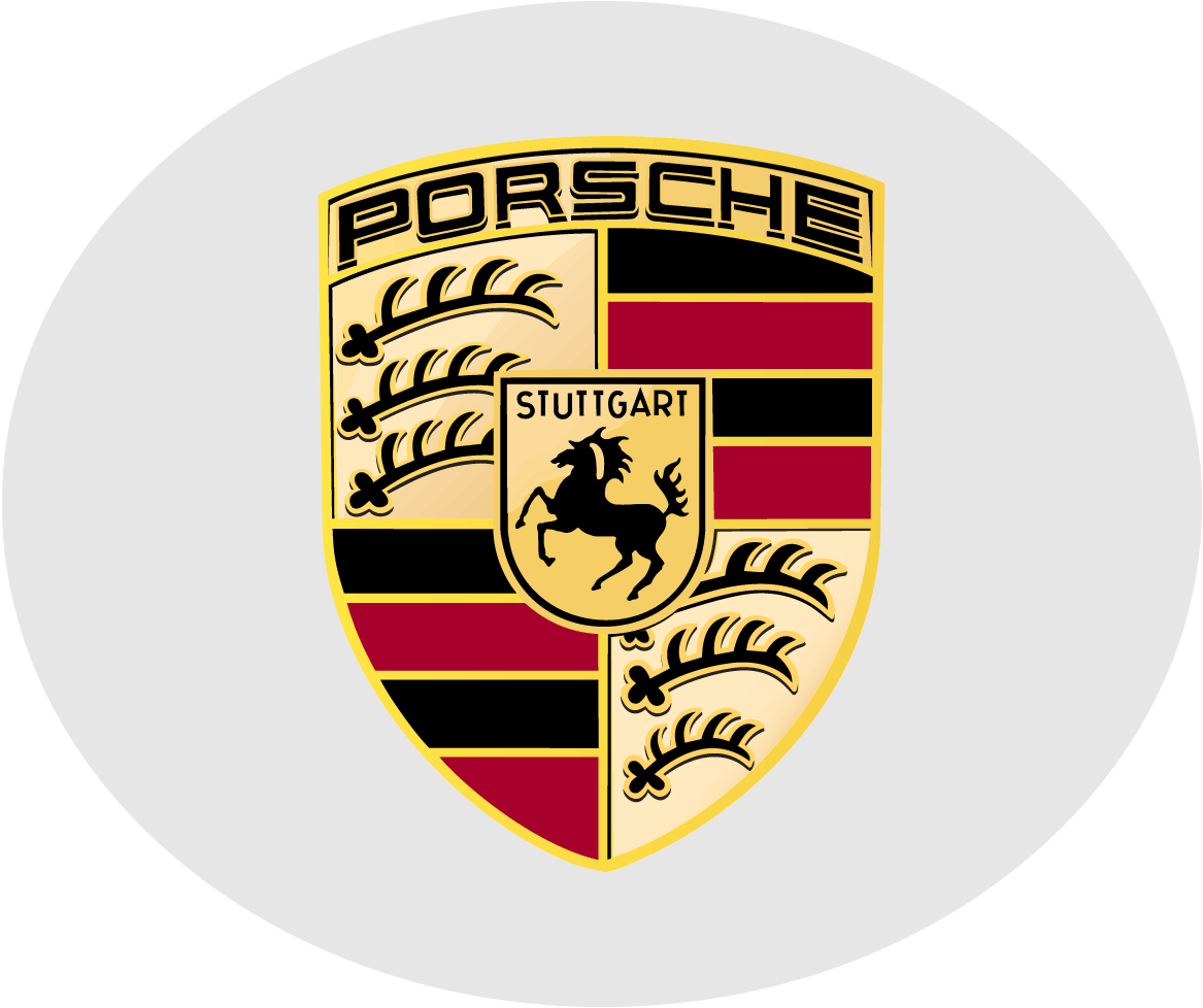 Porsche lubricantes