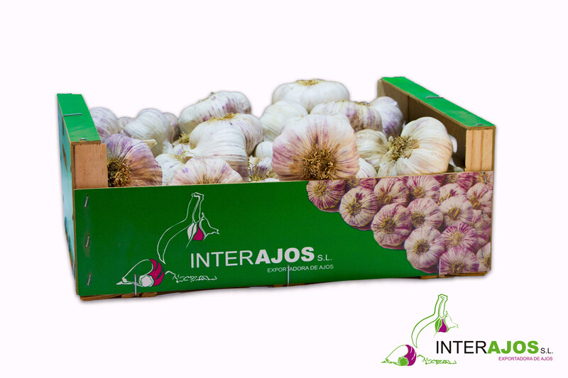 Ajo spring caja Interajos