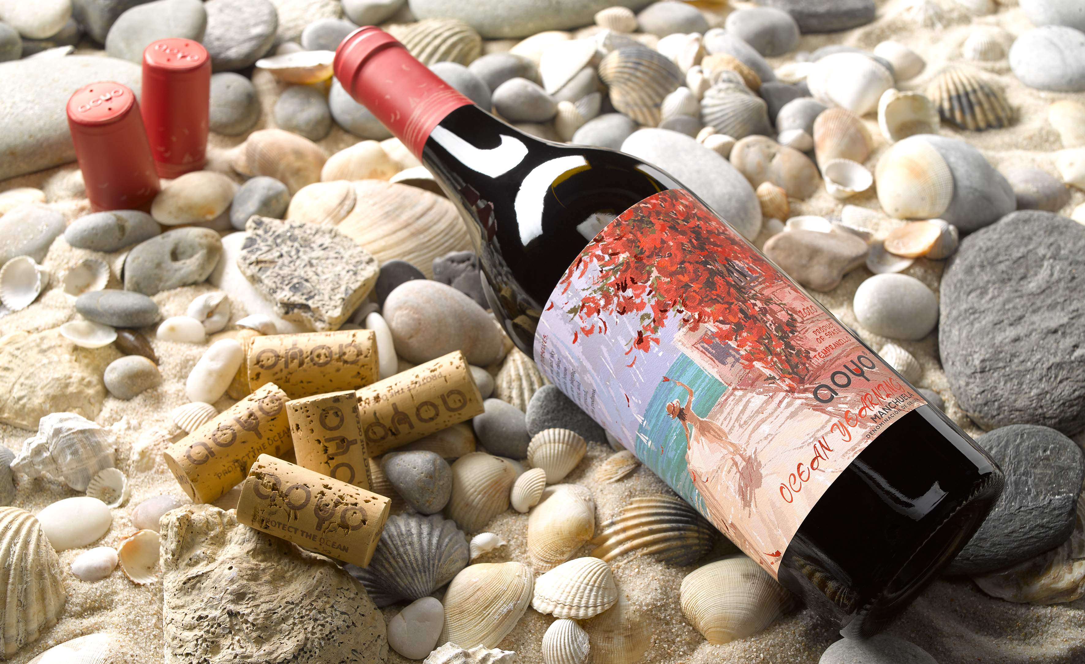 Fotografía de botella de Vino, Aoyo, Manchuela Denominacion de Origen, Coral Garden, Tempranillo, fotografía de producto, botellas a fondo blanco
