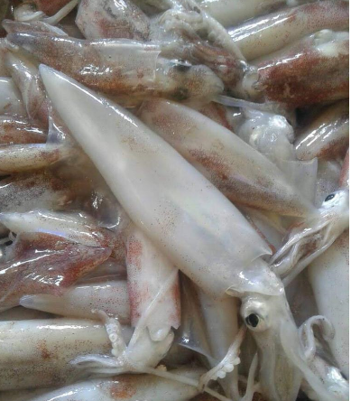 Comercio de pescados en Vigo