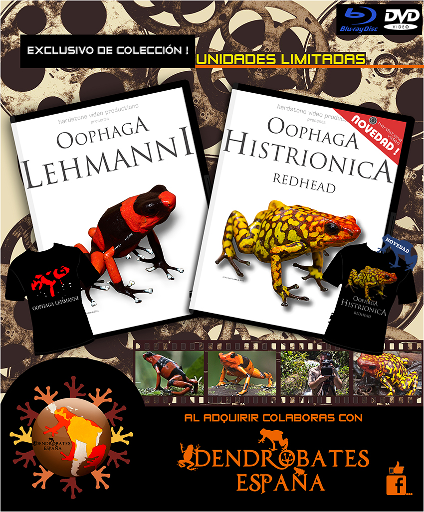 Promocion  Oophaga Dendrobates Spain