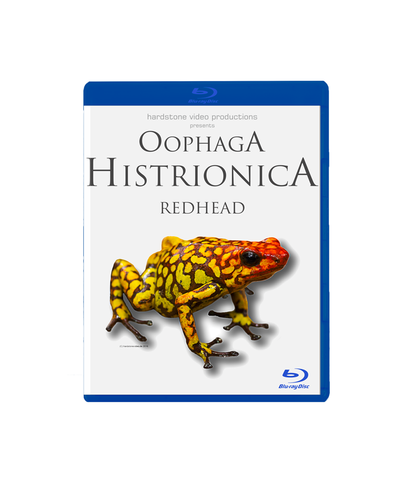 Película Oficial BLU-RAY Oophaga Histrionica - PVP OFICIAL 19€
