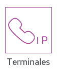 terminal_ippurpura_1png