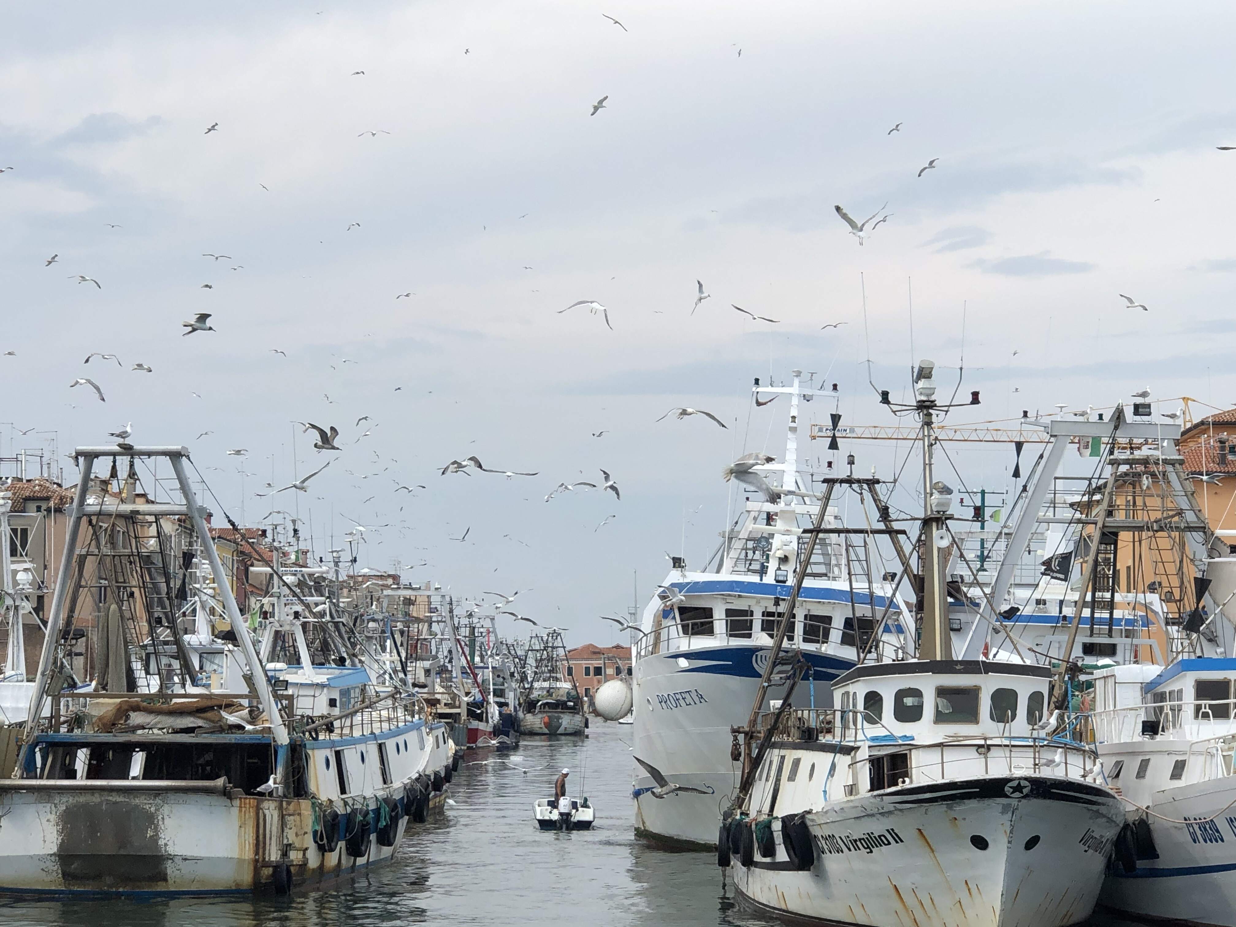 Suministros para la industria pesquera