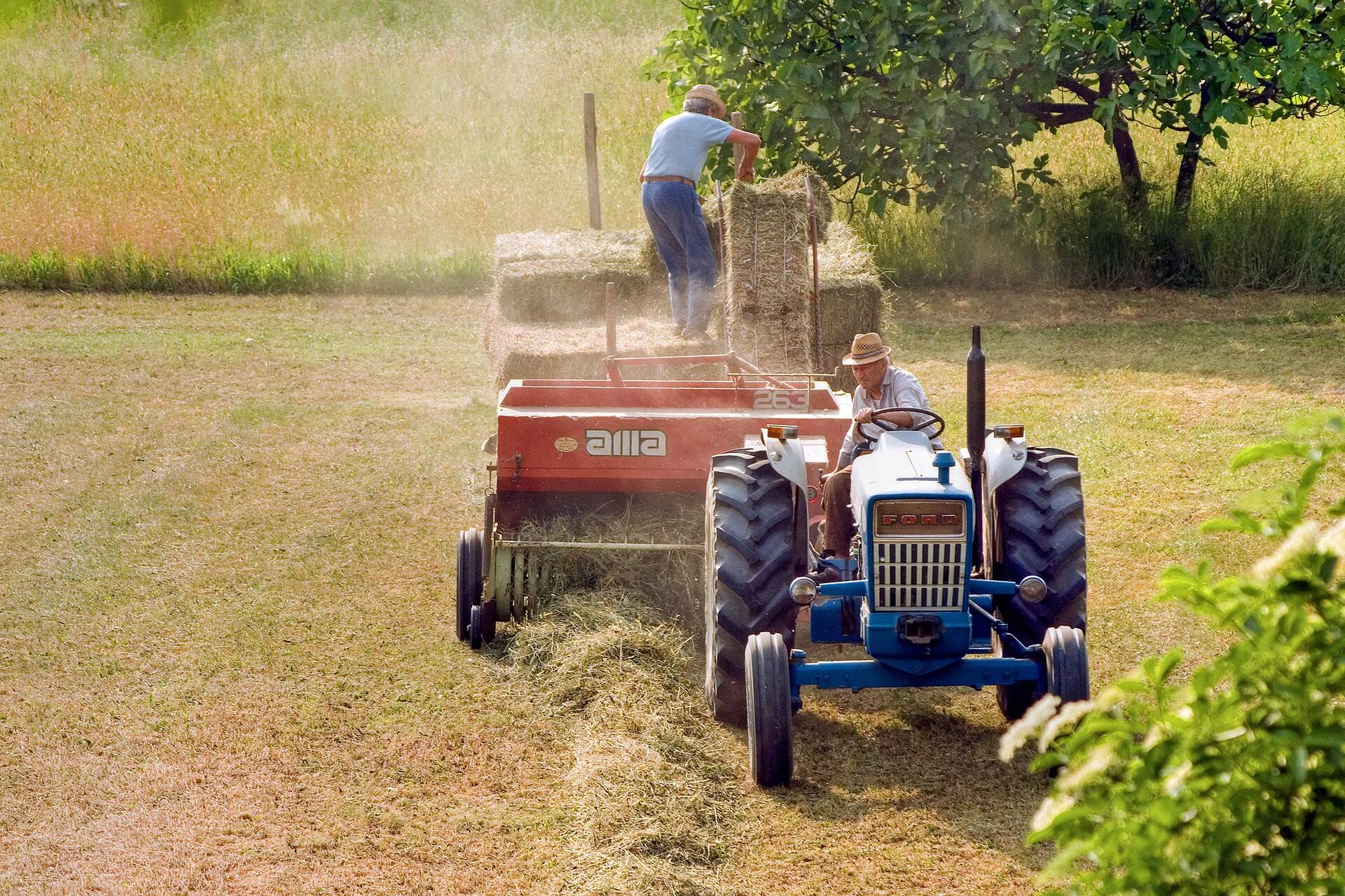 ¿Cómo hacer un buen mantenimiento a un tractor agrícola?
