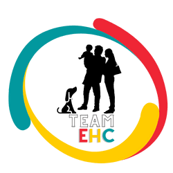 Logo_SEDECAN_TEAM_EHC